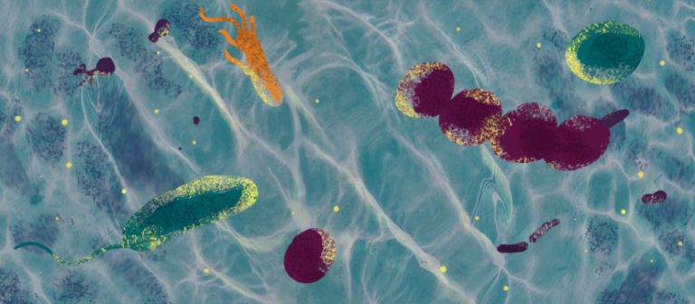 ilustración llamada nado microbiano